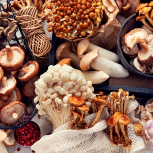 Những Loại Nấm Có Thể Sử Dụng Ở Việt Nam